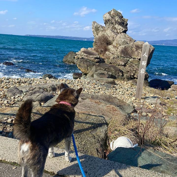 24ec52a2 d961 4a9f bed2 a44a8d53f326 1737693031022