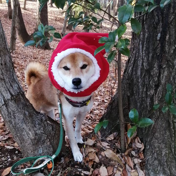 24ec5626 a472 44b5 b4d6 0bb66dc8ccfa 1639186313599