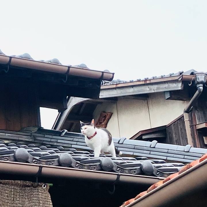 24ec6b35 9d49 41ee bf82 d881b1307b40 1654850915198