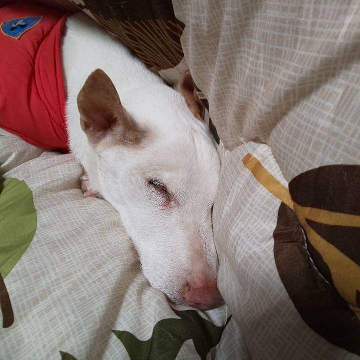 24ec8511 73ae 40a6 91e1 ae8c8f6ac69e 1551799828849