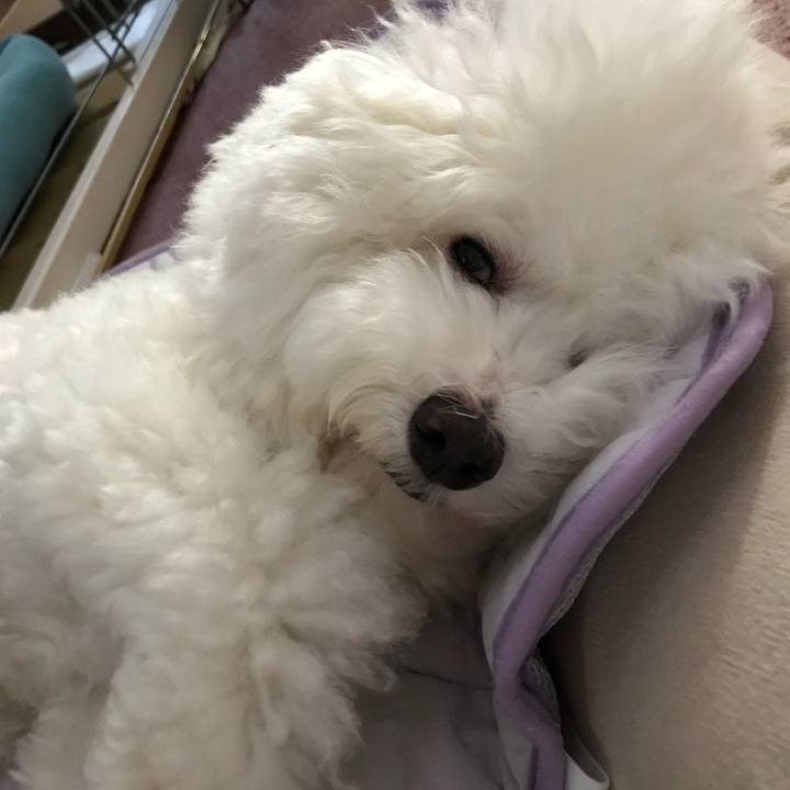 24eca3d0 679f 42b9 9022 b7d5fb8ec05a 1538034950957