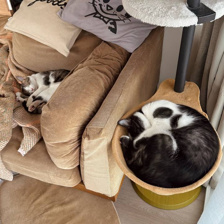 24ecdcff 46be 4a5c a60c 0db170a2cd74 1772952389287