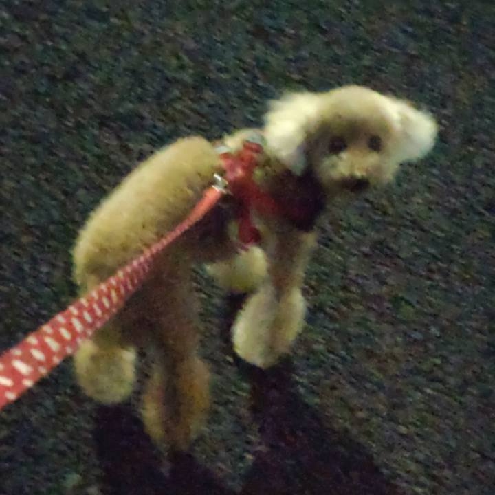 24ece371 8f17 48d3 9784 111b9f1ba464 1654851044324