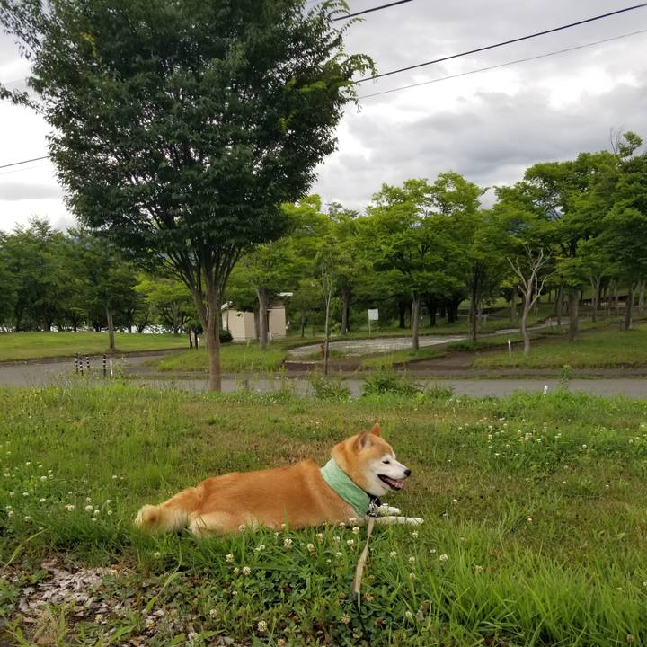 24ed081c 4083 4bc7 87ab 89dcba5f4f80 1658044046796