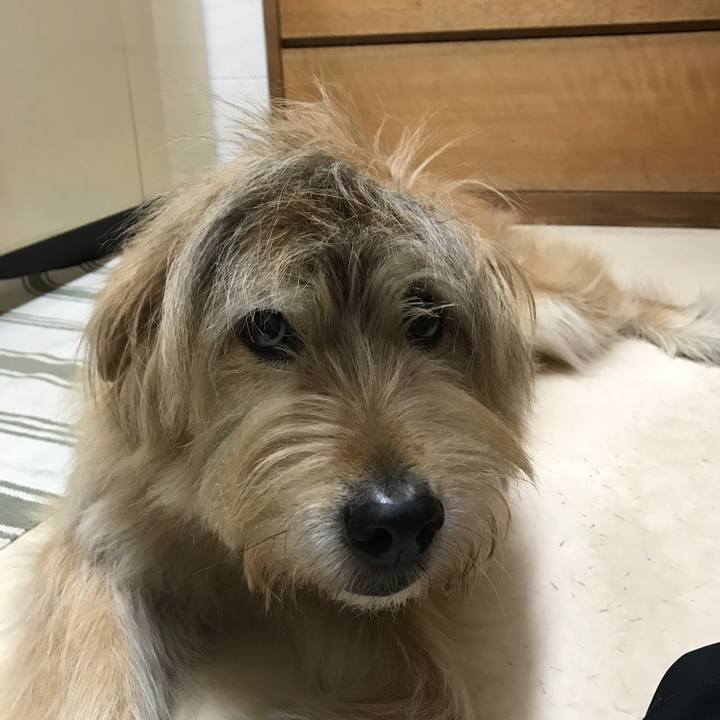 24ed24ed 98c5 4866 8902 119330f6c8bb 1619043088176