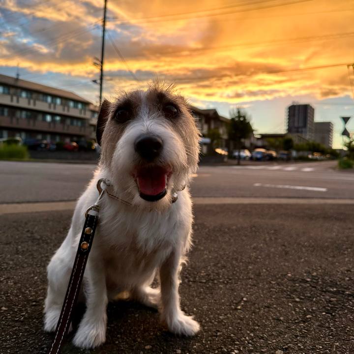 24ed4a8e b1b7 46f4 b124 c0c1be0673e6 1724765117210