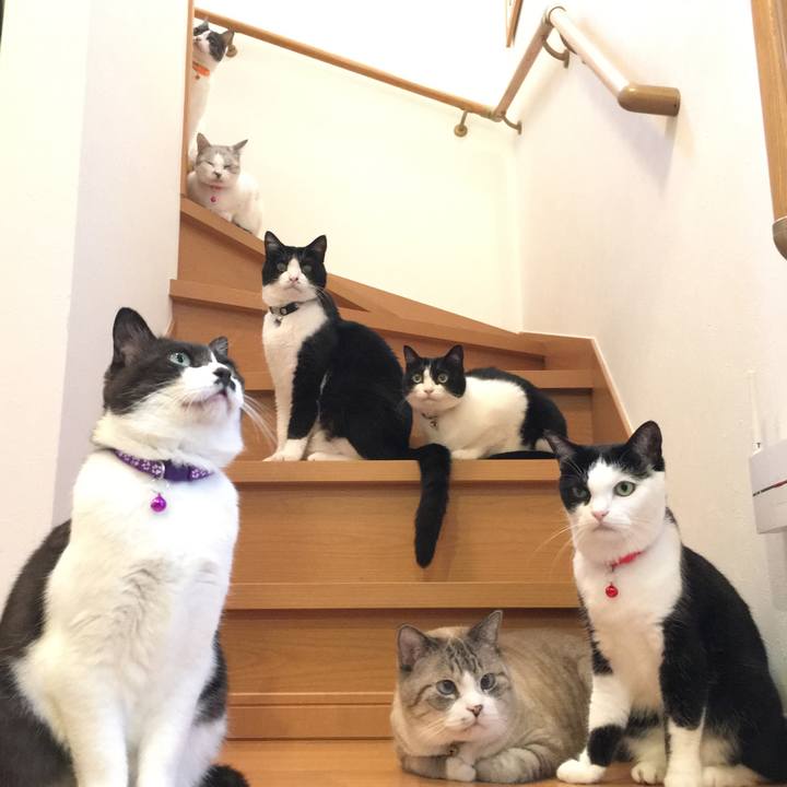 24ed9ba8 f1f8 4b79 acb0 476a0ac1f1d8 1561275757659