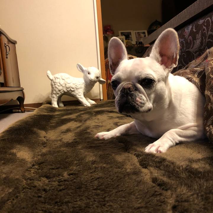 24ed9def a1b8 414d a478 032176eecb5a 1607084538202