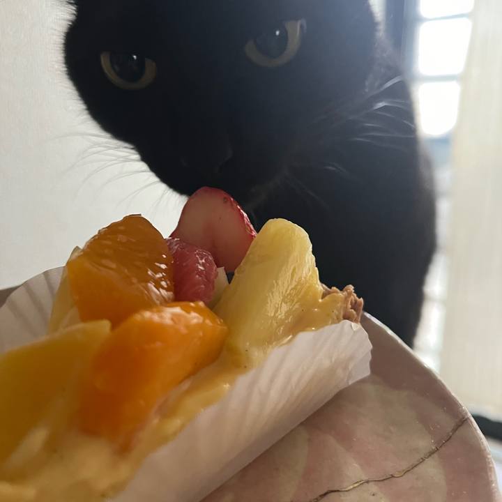 24edaa86 5940 4eab bd96 b410ea6cfaac 1707010195648