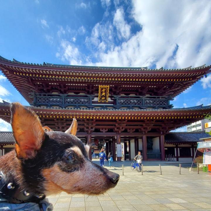 24edb492 6485 4ee0 aa34 509f7885b41a 1697877391605