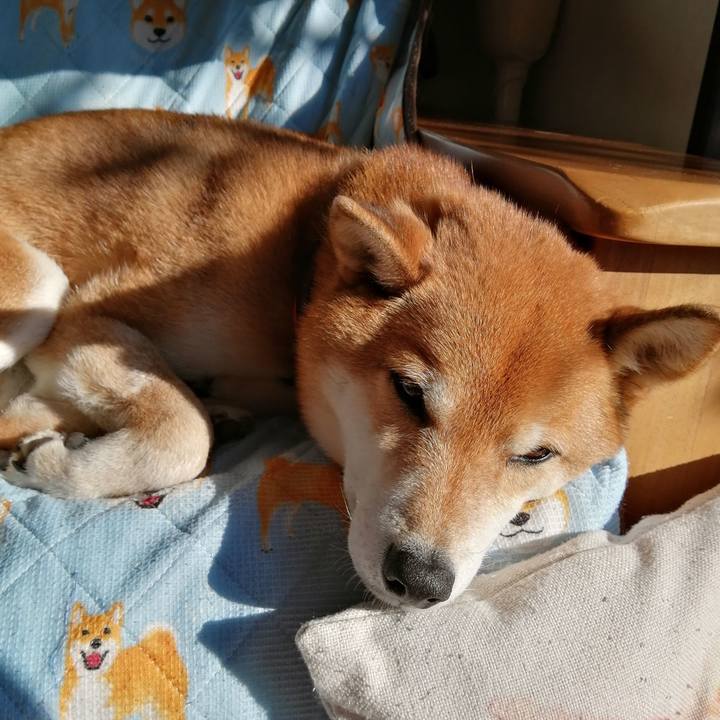 24edc6fe 5b07 4156 9aa7 0c1f211af1bb 1642310503967