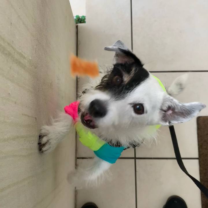 24ee037e f6be 4a8d 82c5 445a8f153a2c 1727391460835