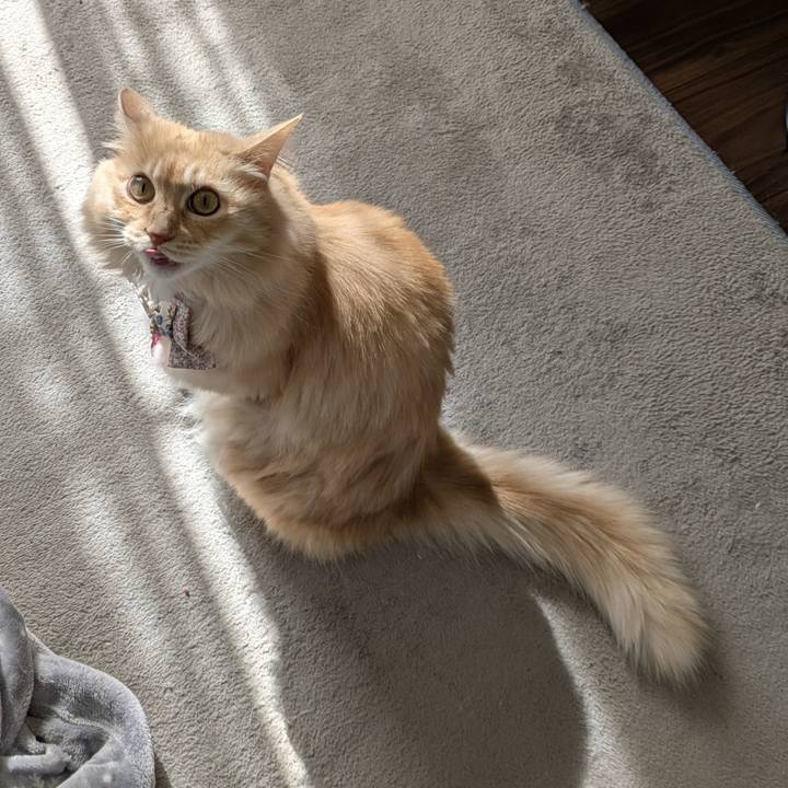 24ee1f08 4882 4bbd 8959 254bd56e14f6 1763091334233