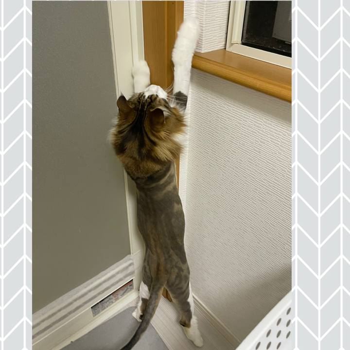 24ee292b 2cd2 43fd b9f7 a9f91f57581d 1719777575998