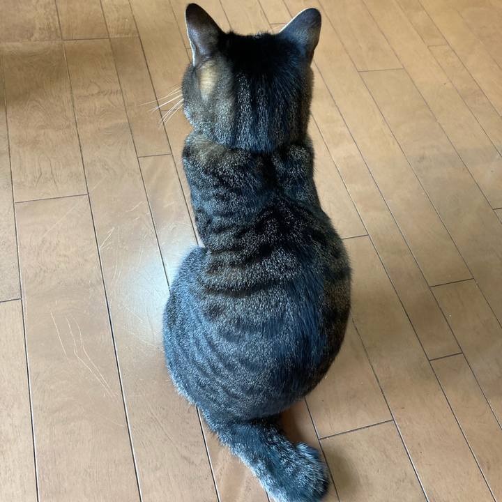 24ee491a 99f0 43d0 8d4f a4ad7aec4e9c 1609296164920