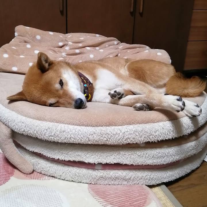 24ee56ea 0b61 4206 9409 f1cf105f2743 1619013033509