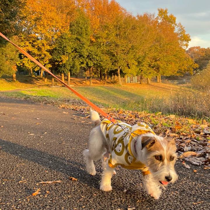 24ee5ea9 0e0c 4fb9 a24f dff04a6159be 1638172903231