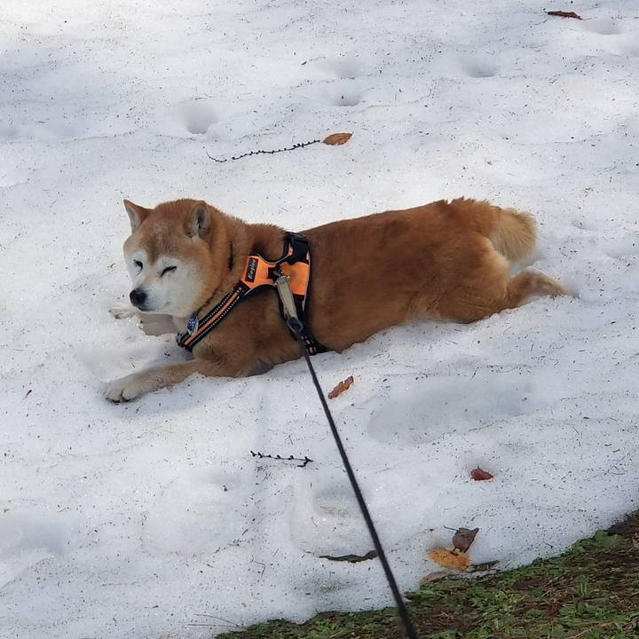 24ee9de6 7bed 4123 a49e ca5a929d13aa 1711764300674