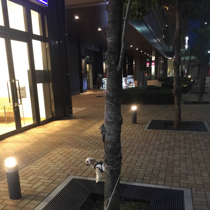 24eea425 6fee 4d8a 97b9 ed87fe12c57e 1566127635670