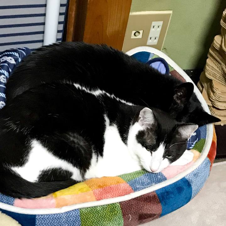 24eed667 f398 45c1 9dd3 8a79019cb93e 1527865538242