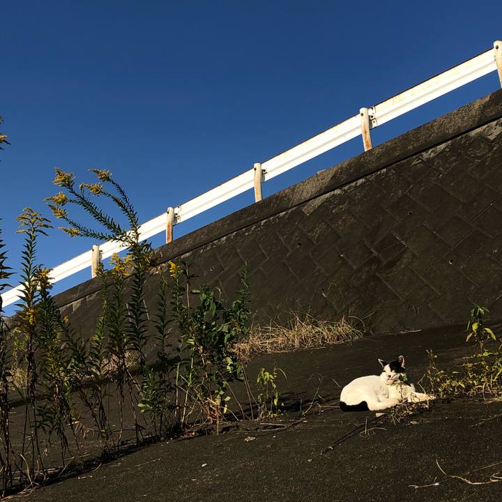 24eeefb6 4abb 4407 96ce 4ab0b7952074 1606145201111