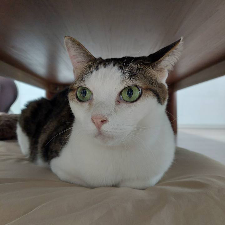 24ef19c7 af99 48d5 a207 65a113854580 1635715942790