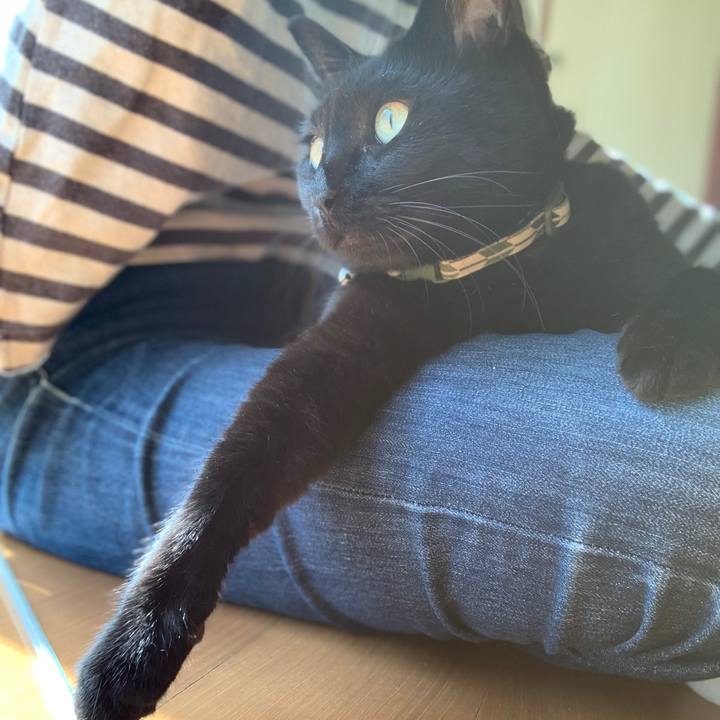 24ef1ac5 6219 43df b8a9 4b238abce4e5 1572566312392