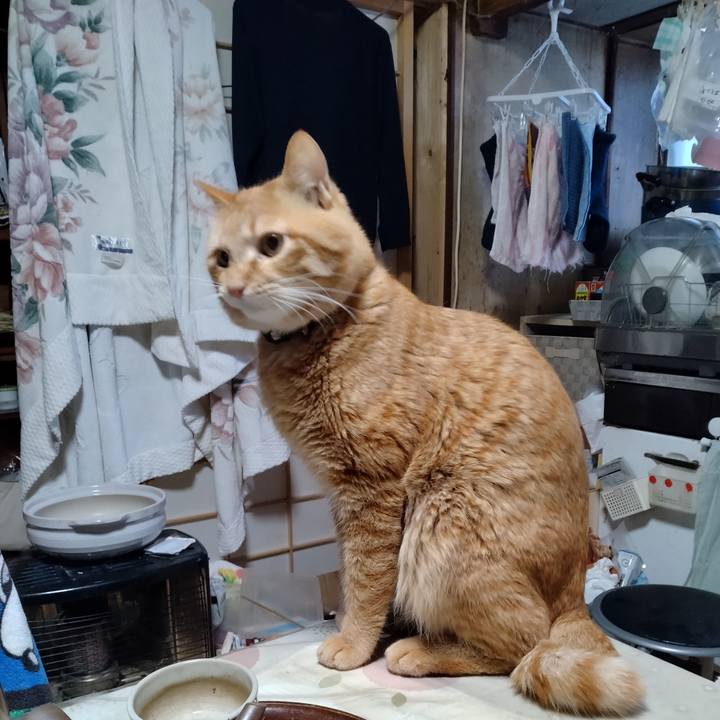 24ef6384 05ed 4cb5 9d04 609f13f68bf5 1675380076784