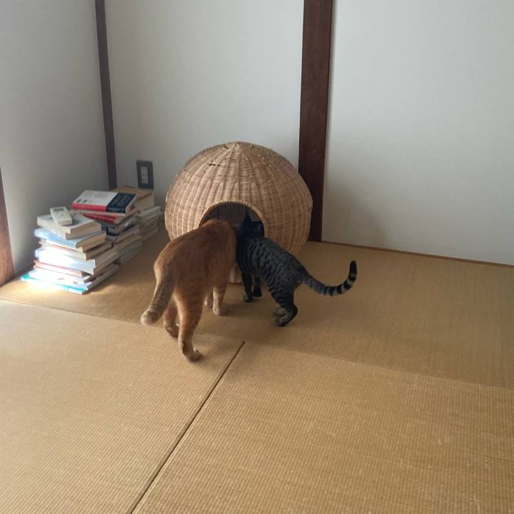 24ef6bdb 4ab4 4c9e 965b d3ed9adb5e72 1664589710970