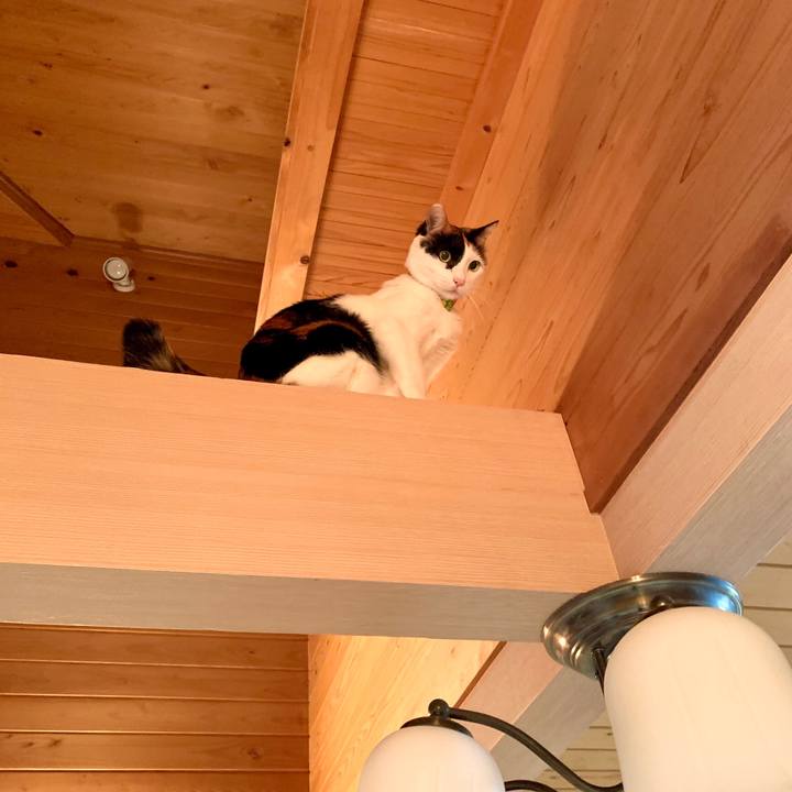 24ef79d0 08e9 49be b5e8 8f05c5583338 1580045028401