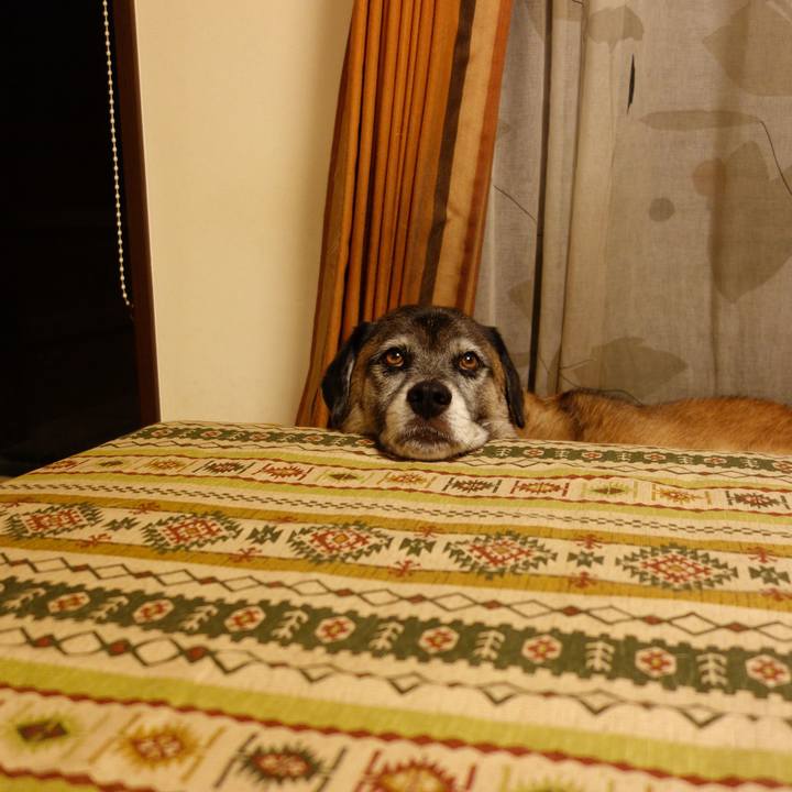 24ef8244 5c77 4b13 a3a4 8342fda3438f 1615423148745