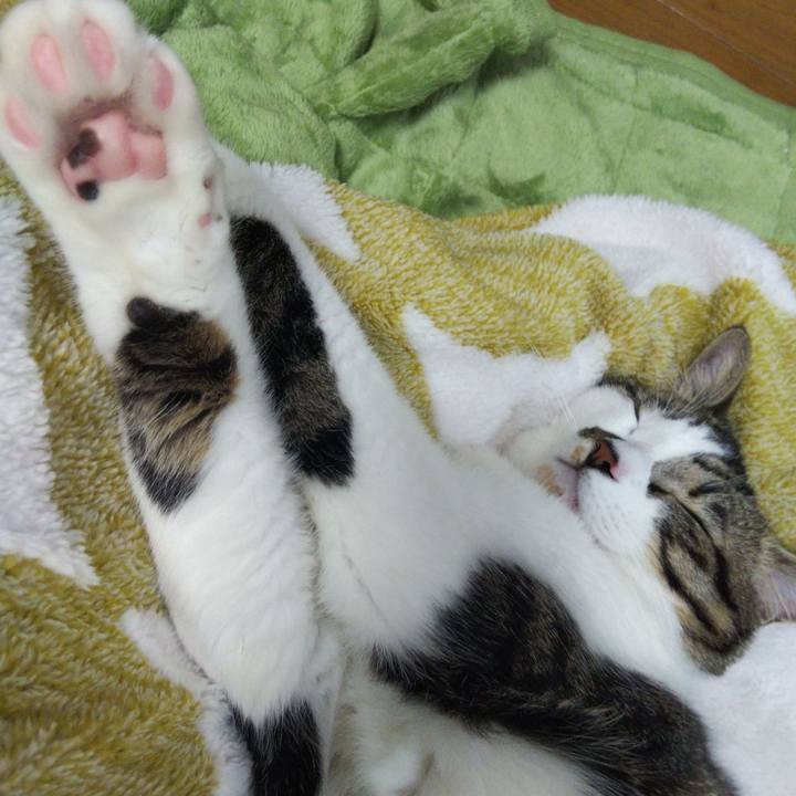 24ef826e b4f8 4d0f a3e2 5ba86e1ada94 1636196023806