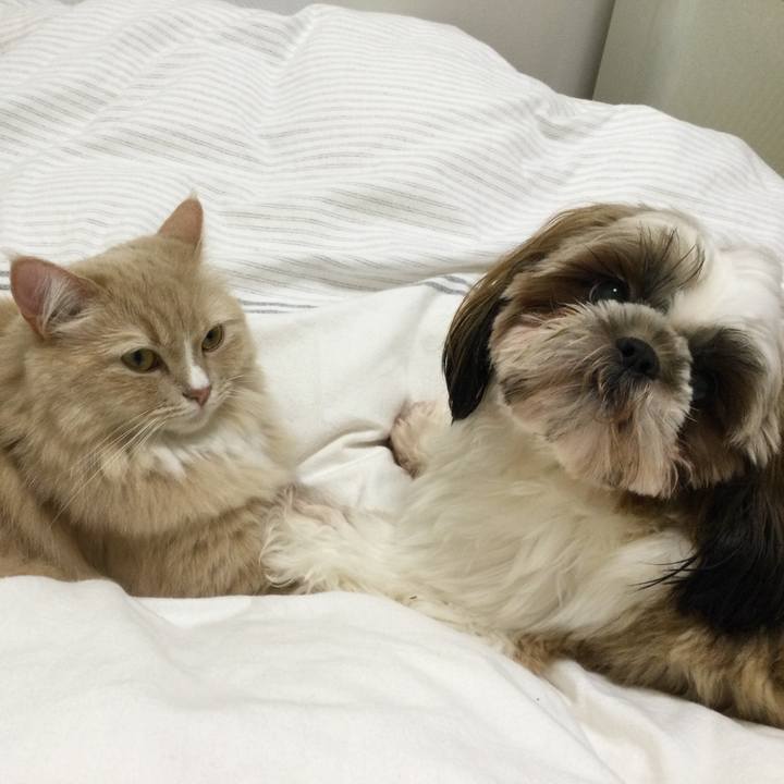 24ef9124 bb5d 4acc b33d 9054a338b95f 1645361983816