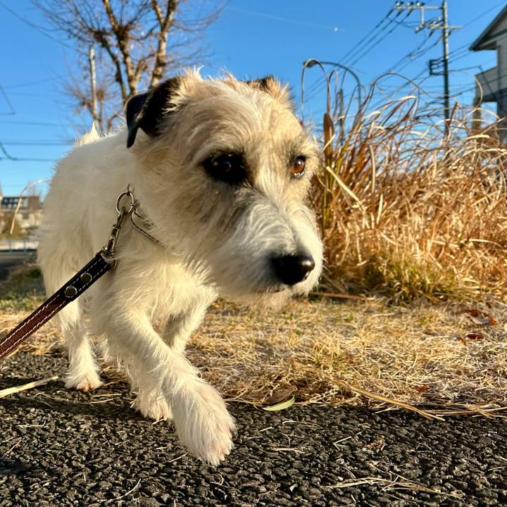 24ef9ede 87ae 4063 84e6 df006c35ee0a 1737887401081