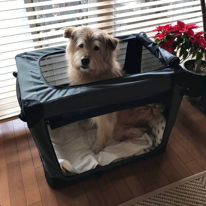 24efd874 5712 4d1e a71c baa2f8c17d77 1674214245851