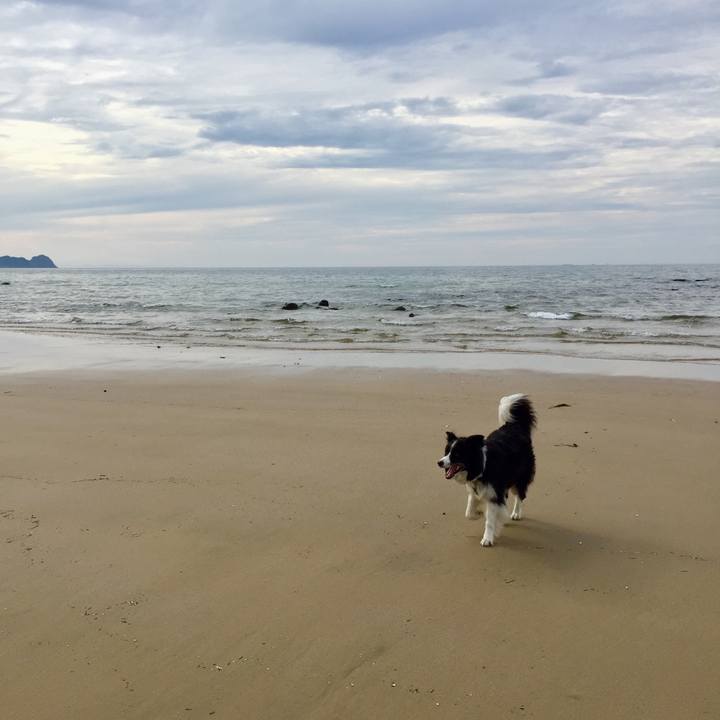 24efdae3 7215 4b9d 949e d36abec8ad59 1569831829589