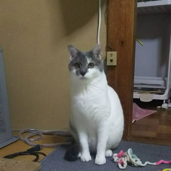 24f01879 3246 4dd2 bca5 620b68fb67a8 1528209438618