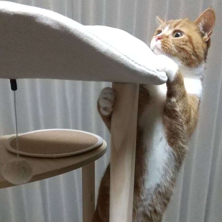 24f045bb 7cce 449f a922 9df13ff4d3b1 1648550690954