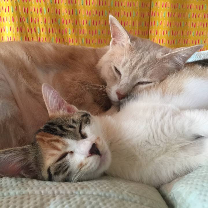 24f0683c afca 4e29 9dc7 e25d8db6bca8 1635301115380