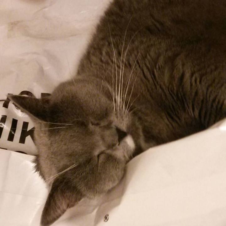 24f09d57 5275 4c53 891b 3ac80ee4ca2a 1568198498943