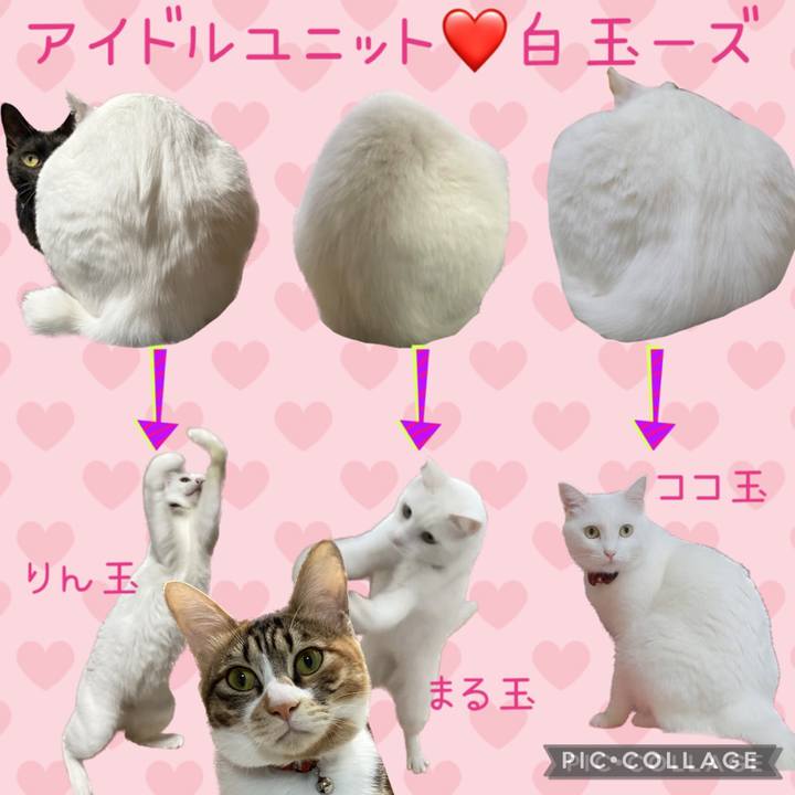 24f0b661 389c 47c6 bdfa a62de9575489 1678683999564