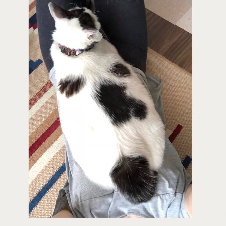 24f0d9c9 0a3a 4146 b337 3cf3fd1bbca6 1529124648796