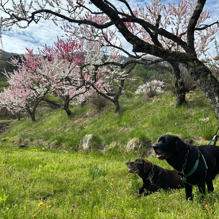 24f109c4 ad26 4d71 bc85 095d7483e4a5 1777087365749