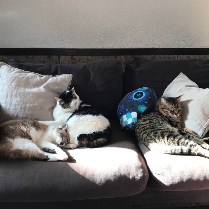 24f10ced 4230 4c19 b67e 7885fdf38f5d 1514538400376