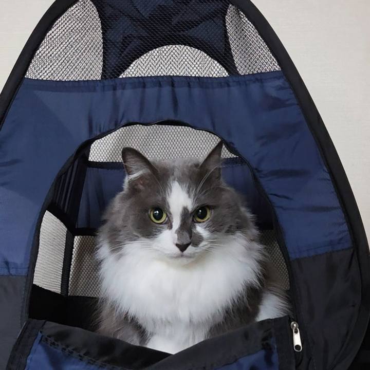 24f11666 4b10 4e39 afd4 32f16445189f 1762671385251