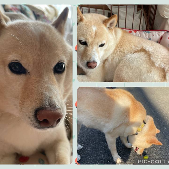 24f13800 d380 4883 97a8 b8c1f2efbb15 1714864807285