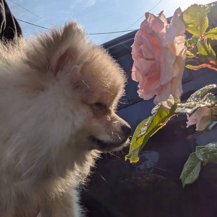 24f13850 bb6b 42ad 9a94 769a570a9bfb 1747952522404