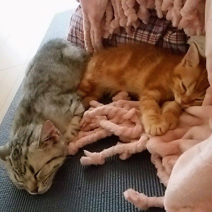 24f13bc5 a188 43c9 8f45 1edd1b8fa69b 1594710938836