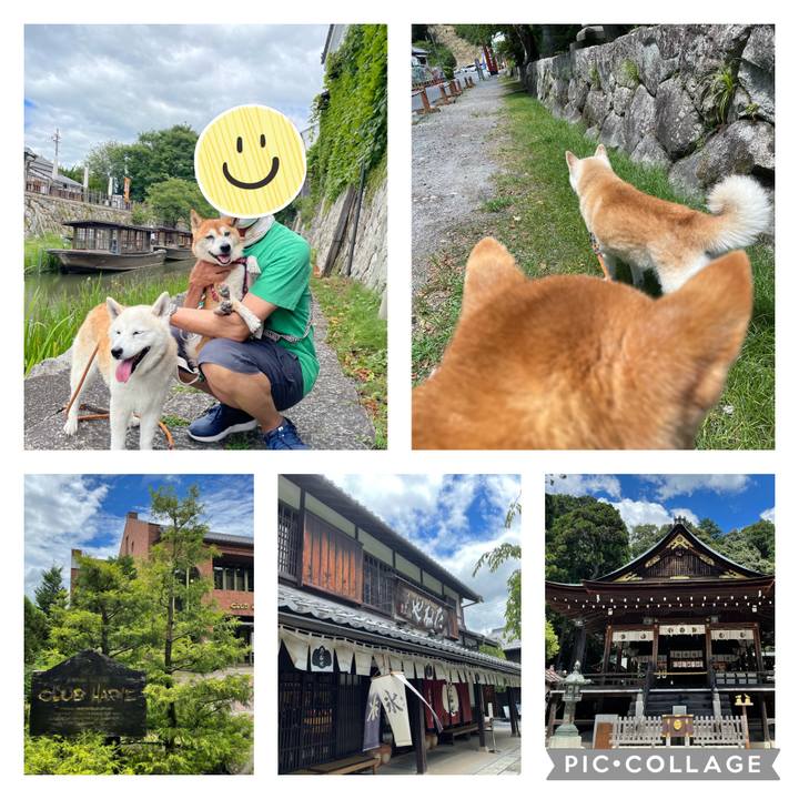 24f14113 0532 4d45 ae23 ed8a8c54dca5 1628329859012