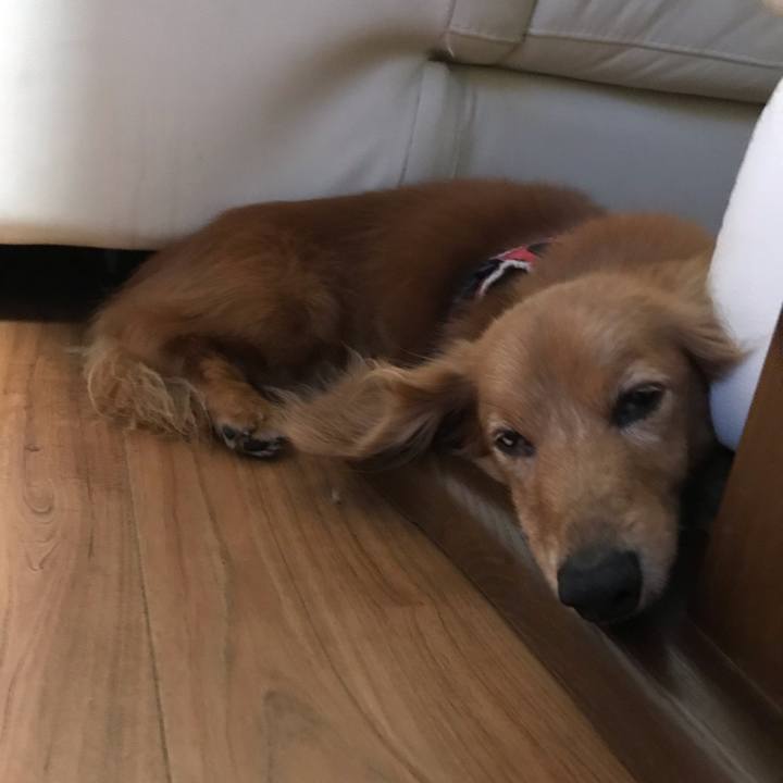 24f1ea87 c195 449a 9bbe 344cd437ff27 1564575414425